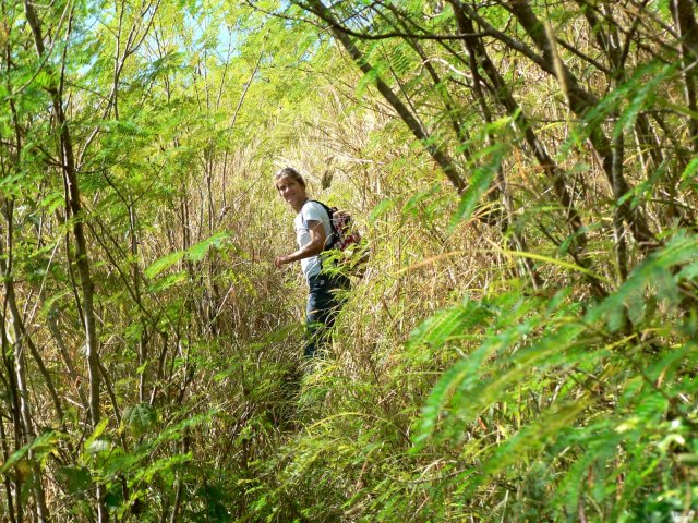 62- Pascale escalade le sentier dans les herbes 
